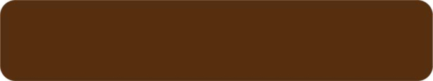 22x0.80 mm Yıldız Entegre YT-30D Royal Bronz PVC Kenar Bandı