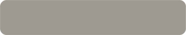22x0.80 mm Starwood ST-094P 94 Parlak Metalik Nehir Kumu PVC Kenar Bandı